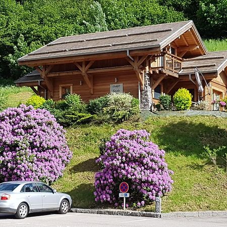 Les Chalets Des Chatelmines La Bresse Bagian luar foto