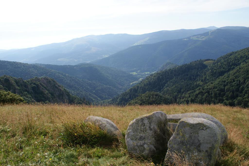 Les Chalets Des Chatelmines La Bresse Bagian luar foto