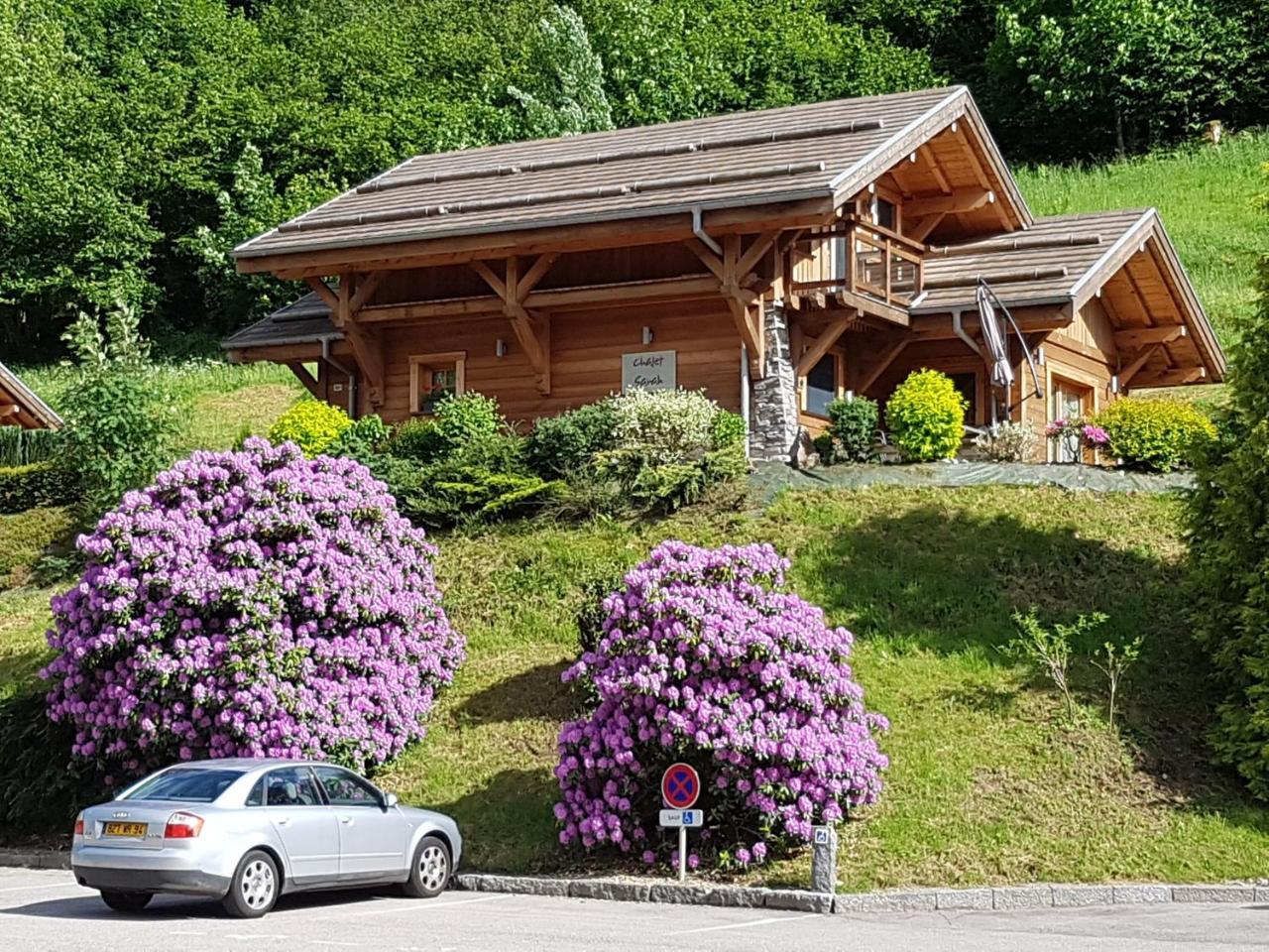 Les Chalets Des Chatelmines La Bresse Bagian luar foto